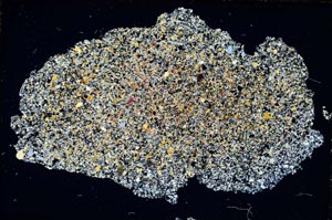 Cross Polarized, S7389