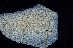 Cross Polarized, S7390