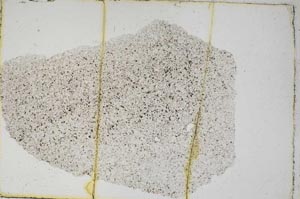 Plane Polarized, S7390