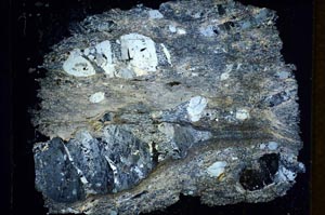 Cross Polarized, S7391/A