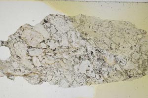 Plane Polarized, S7391/B