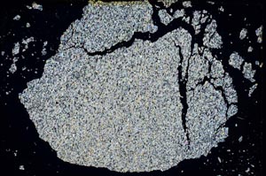 Cross Polarized, S7393