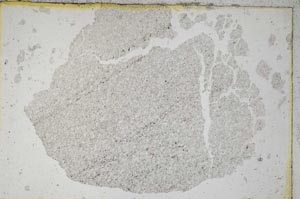 Plane Polarized, S7393