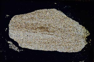 Cross Polarized, S7394