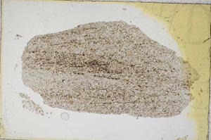 Plane Polarized, S7394