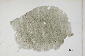 Plane Polarized, S7395