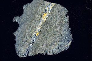 Cross Polarized, S7396