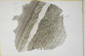 Plane Polarized, S7396