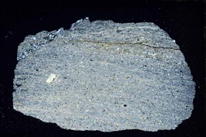 Cross Polarized, S7397