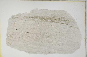 Plane Polarized, S7397