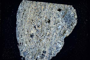 Cross Polarized, S7398