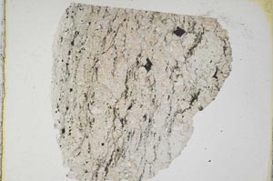 Plane Polarized, S7398