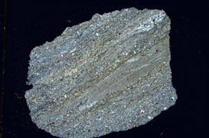 Cross Polarized, S7400