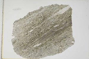 Plane Polarized, S7400