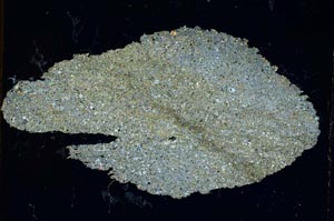 Cross Polarized, S7401