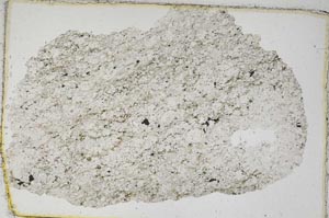 Plane Polarized, S7402