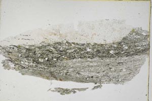 Plane Polarized, S7426