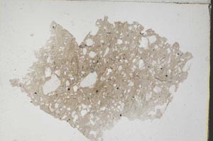 Plane Polarized, S7433