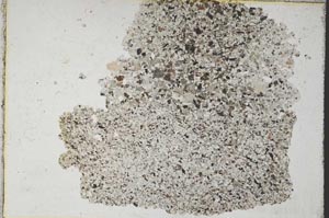 Plane Polarized, S7436