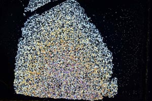 Cross Polarized, S7448