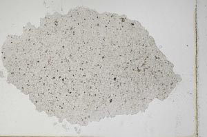 Plane Polarized, S7449