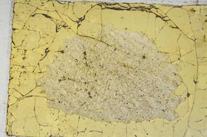 Plane Polarized, S7450