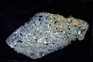 Cross Polarized, S7451