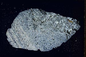 Cross Polarized, S7453