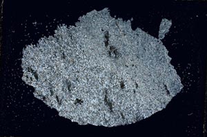 Cross Polarized, S7454