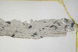 Plane Polarized, S7487