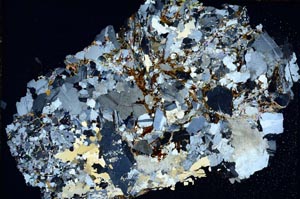 Cross Polarized, S7499