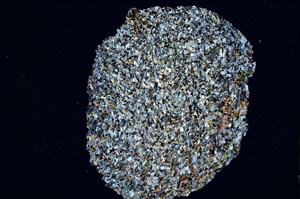 Cross Polarized, S7500