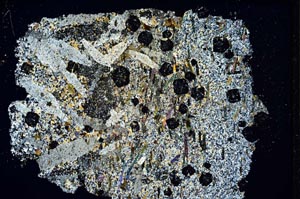 Cross Polarized, S7501