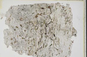 Plane Polarized, S7501