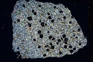 Cross Polarized, S7502