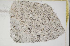 Plane Polarized, S7502