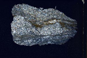 Cross Polarized, S7506