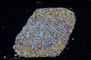 Cross Polarized, S7518