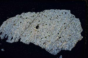 Cross Polarized, S7574