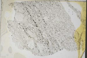 Plane Polarized, S7576