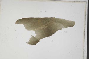 Plane Polarized, S7578