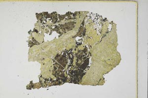 Plane Polarized, S7579