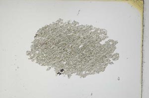 Plane Polarized, S7582