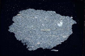 Cross Polarized, S7583