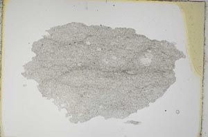 Plane Polarized, S7583