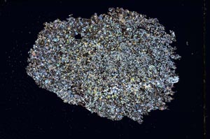 Cross Polarized, S7585