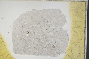 Plane Polarized, S7586