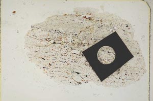 Plane Polarized, S7623