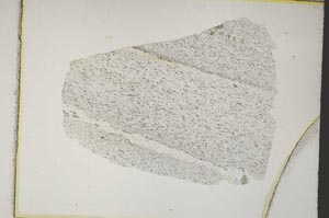 Plane Polarized, S7634