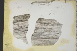 Plane Polarized, S7655